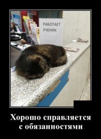 Кадры решают всё