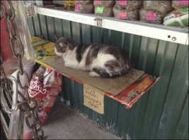 Кадры решают всё
