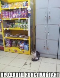 Кадры решают всё