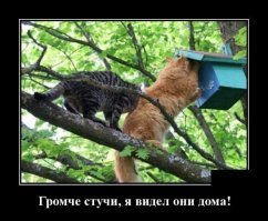 Кадры решают всё