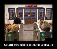 Кадры решают всё