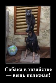 Кадры решают всё