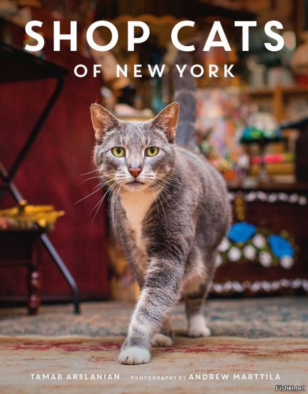 Вышел даже альбом, где запечатлены коты и кошки, работающие в Нью-Йоркских магазинах.

.