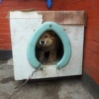 С Шариком порвал!
