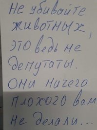 Картинки не для всех