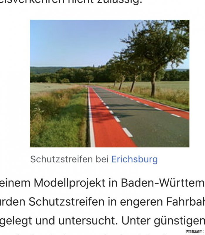 Так это ж велосипедные дорожки. Они во многих странах красные. 
В большинстве они идут по тротуару и просто выкладывают двухцветной плиткой. А если между мелкими городами, например в Германии велосипедные дорожки редко пересекаются с трассами. Опасненько, шнельки (не путать с автобаном) это 100 км/ч, там велосипедистов снесет к .....
 Мы так на озеро ездили на великах 55 км в одну сторону.