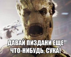 20 деревьев, над которыми поиздевалась природа, превратив их в монстров