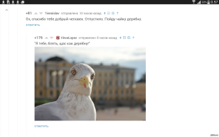 Не трогай моих детей! Гусыня утопила атаковавшую её птенцов чайку