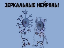 7 человеческих "почему?", ответы на которые вас удивят