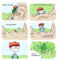 Картинки не для всех