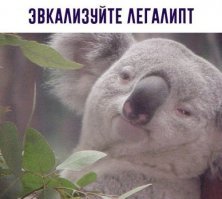 Хохотальня