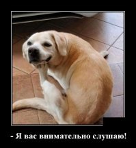 Образ автомобиля в демотиваторах