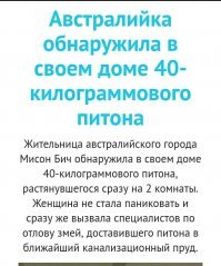 Змея укусила американца в глаз на пороге дома его друга