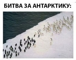 Сарказм. Просто сарказм