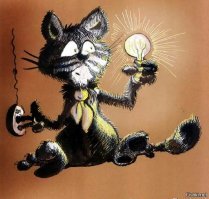 Образ кошки в демотиваторах