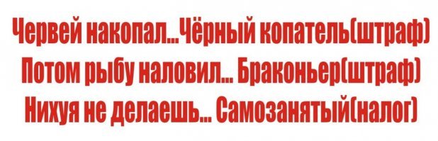 Прикольные и смешные картинки