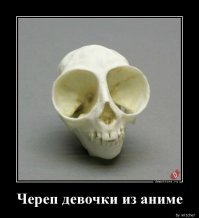Скелеты мультяшных героев