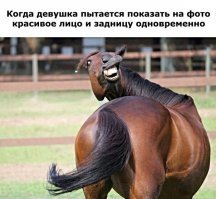 Картинки не для всех