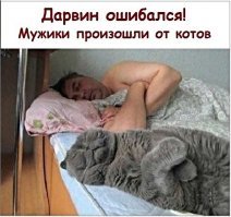 Хохотальня