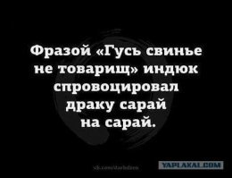 Картинки не для всех