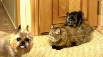 Пост о дружбе