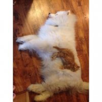 Пост о дружбе