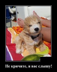 Образ автомобиля в демотиваторах