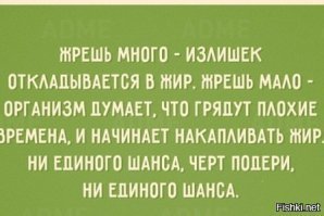 В шутку и всерьез о лишнем весе и диете