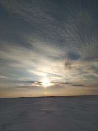 Опять Тагул.