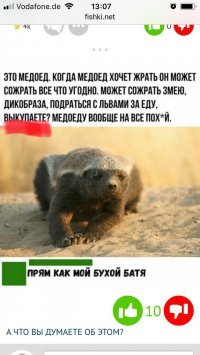 Что это за слово?!