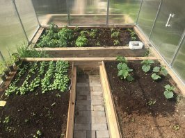 Фото от 5 мая ... сейчас все засажено