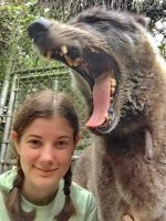 Пожалуйста, скажите что это милое животное просто зевает