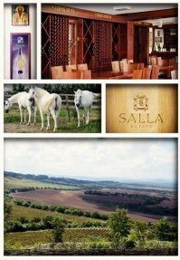 В смысле - нет вина болгарского? Винарен по Болгарии, как бездомных кошек на улицах. На разный кошелёк и на разный вкус есть. Лично три винарни посещали - не маленьких, а весьма себе крупных. А вы говорите, что вина в Болгарии нет.