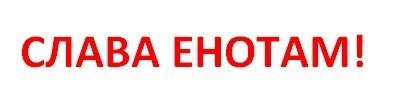 За енотов всегда плюс