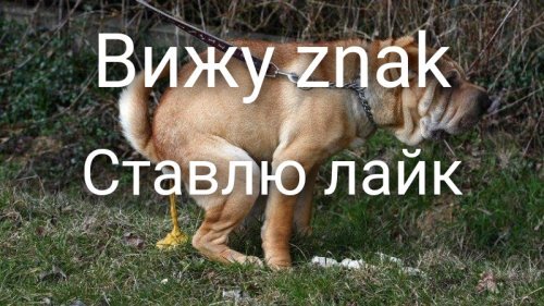 Юрист выяснил, что в РФ тайно реабилитировали десятки участников репрессий