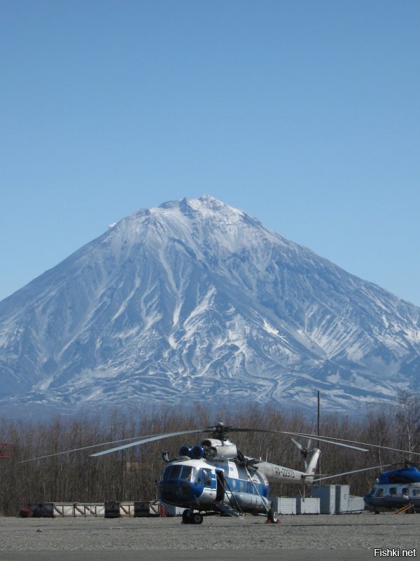 офисный планктон попал в командировку?
ну как геолог так восхищается..... первая командировка в жизни?
клешня краба - найдена на берегу. рука взрослого человека. размер представляете?