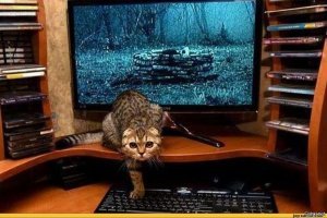 Картинки с надписями