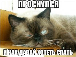 Прикольные и смешные картинки