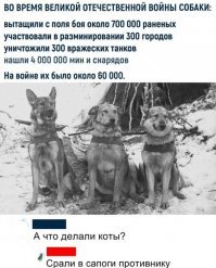 Коты, вообще говоря, тоже приняли участие, хоть и несколько более опосредованное - их завезли в Ленинград уничтожать безумно расплодившихся крыс. И они справились.