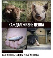 Почему из воды? Из консервы! Сейчас сфотает и отпустит в пруд.