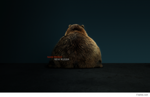 Зачем медведю мусорный бак, если у него есть такие ништяки, как оленьи кости... ХЗ