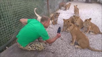 Кому-то не хватает воспитпния.