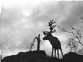 комментарий к фото номер 14. В книге «Свидетель истории: фотографии Евгения Халдея» рассказывается об этом кадре. Во время бомбардировки олень (позже его назвали Яшей) вышел к солдатам: контуженное животное не хотело оставаться в одиночестве. Халдей сделал снимок, но он получился не таким эффектным, как рассчитывал корреспондент. Путём мультиэкспозиции Халдей добавил в кадр британские истребители Hawker Hurricane и разрывающуюся бомбу. Исходник вот.