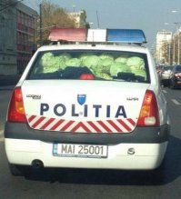Говорят, работая в полиции можно хорошую капусту срубить