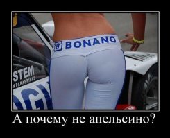 Свежая подборка демотиваторов, которые поднимут вам настроение