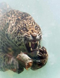 С добрым утром!