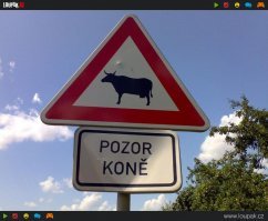 "ЦСКА - чемпион!" по чешски....