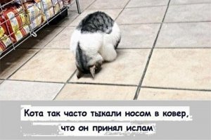 в зеленый ковер