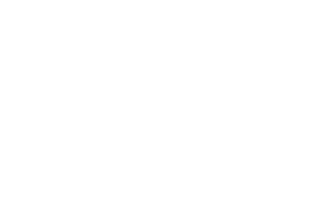 Вот настоящий Бегемот из музея Булгакова, которого пыталась украсть ненормальная тётка.