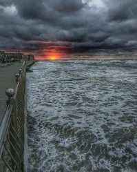 Самые красивые  в моём городе на Балтике.